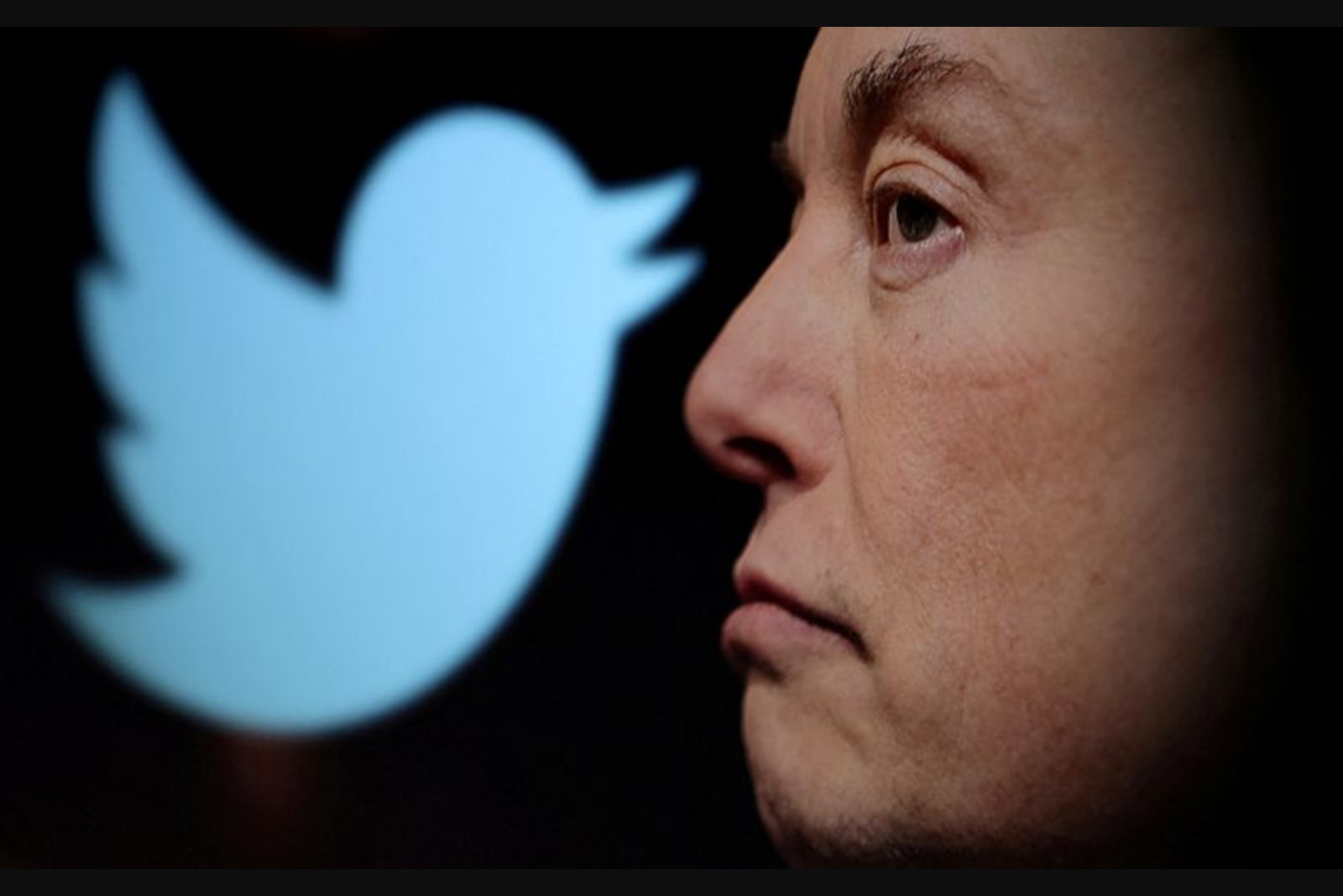 Judge Allows Class Action Over Elon Musk's Delayed Twitter Stake Disclosure