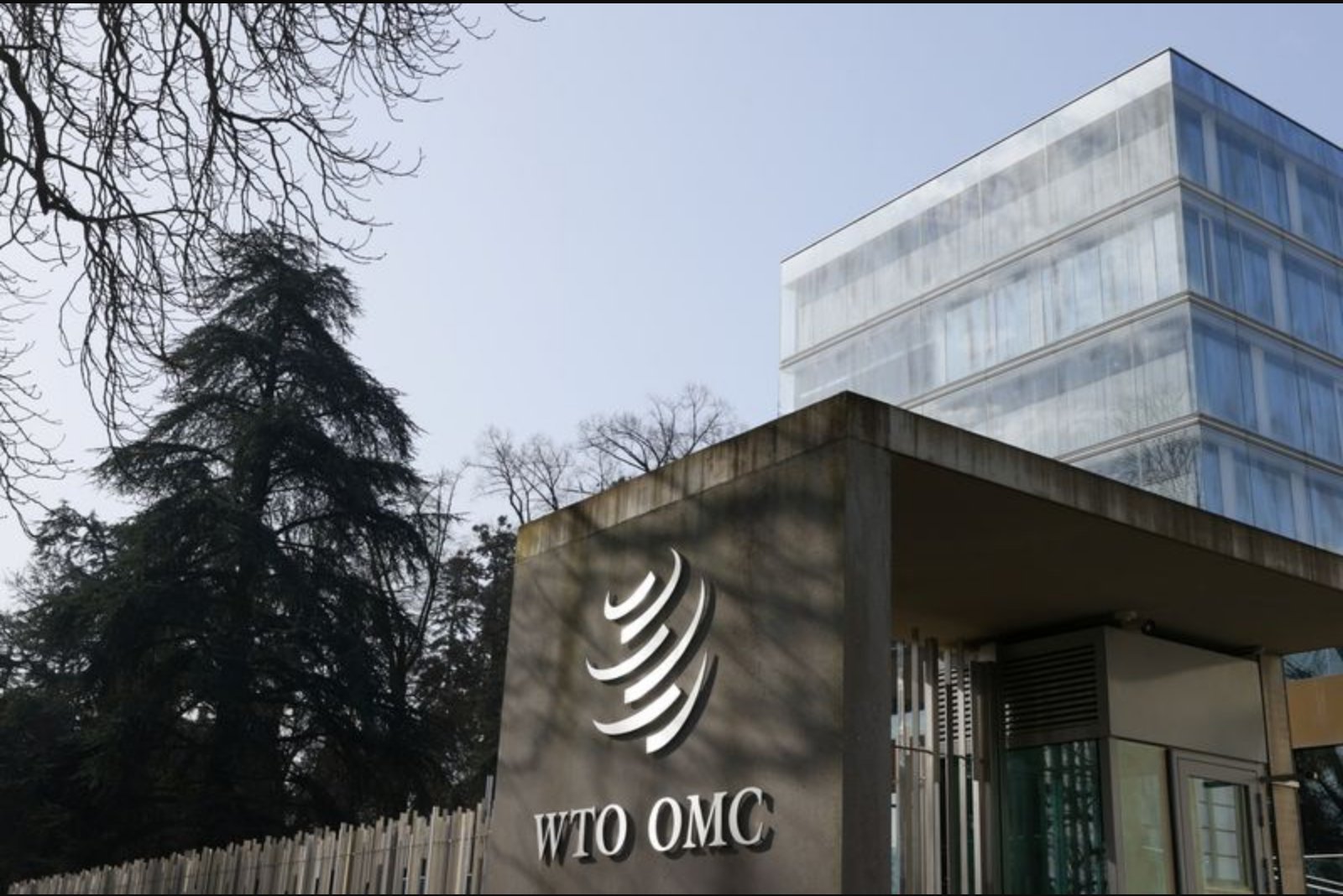 Explainer: How the WTO E-Commerce Moratorium Shapes Cross-Border Digital Trade