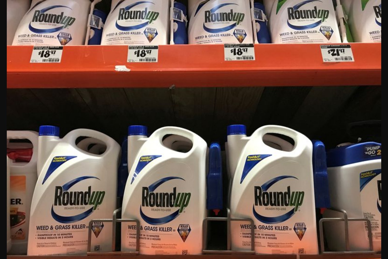 Public Worries Over Pesticides Rise as Bayer Takes Roundup Fight to Supreme Court