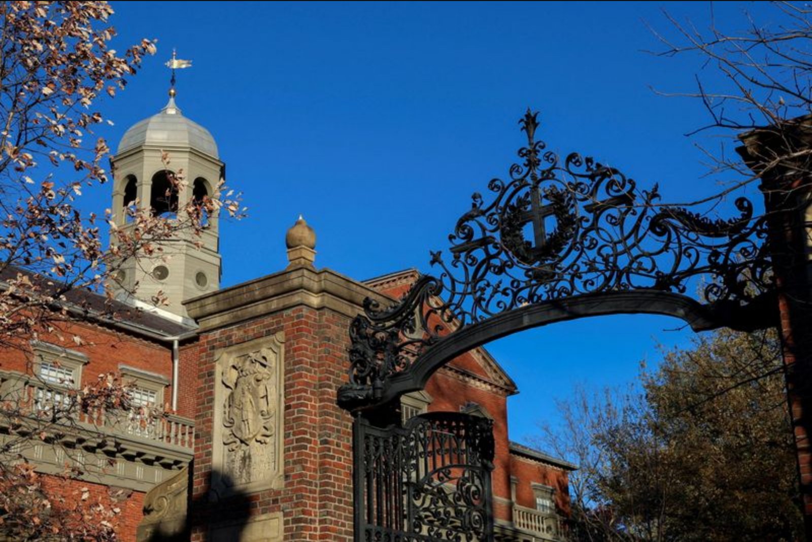 Head of Harvard's $57 Billion Endowment Signals Intent to Retire