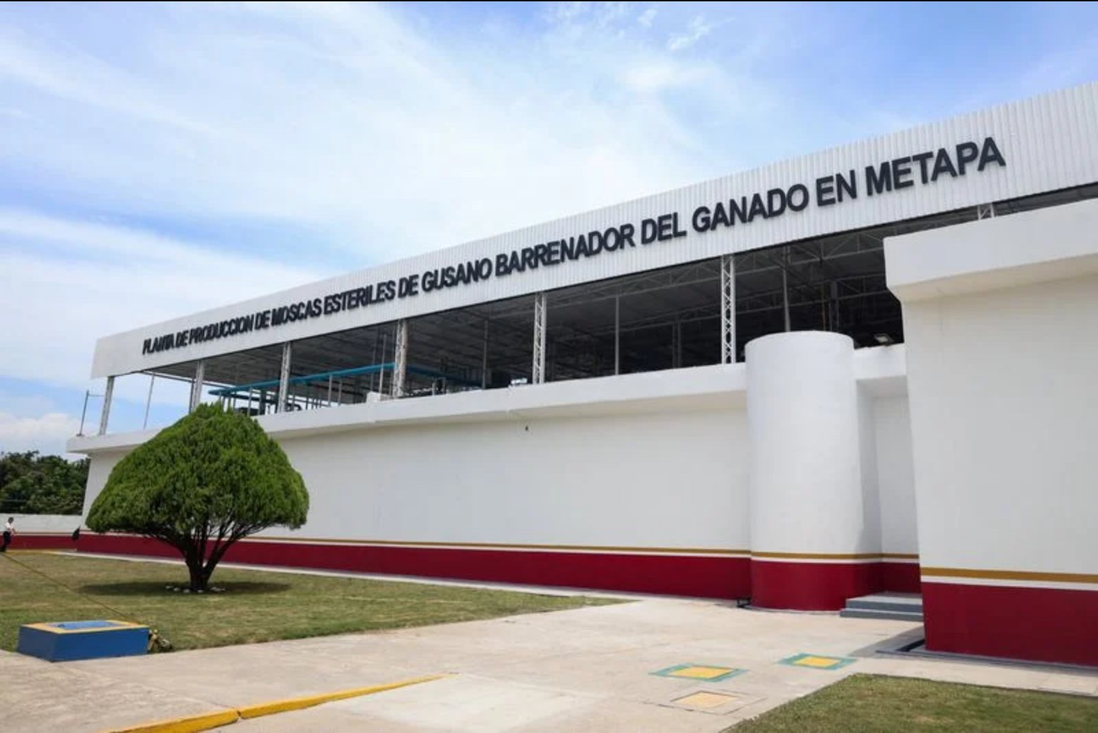 New sterile fly facility opens in Chiapas as US and Mexico step up fight against screwworm