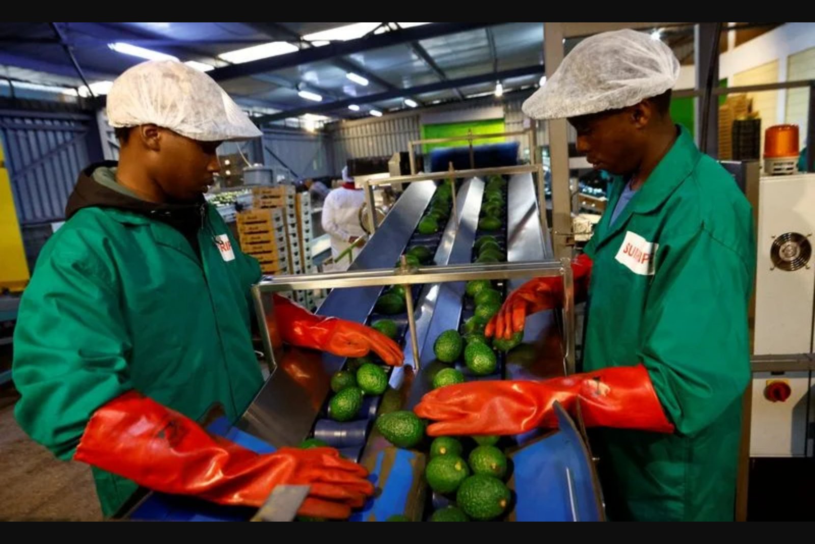 China's Tariff Cuts and Rising Trade with Africa Accelerate Yuan Settlements