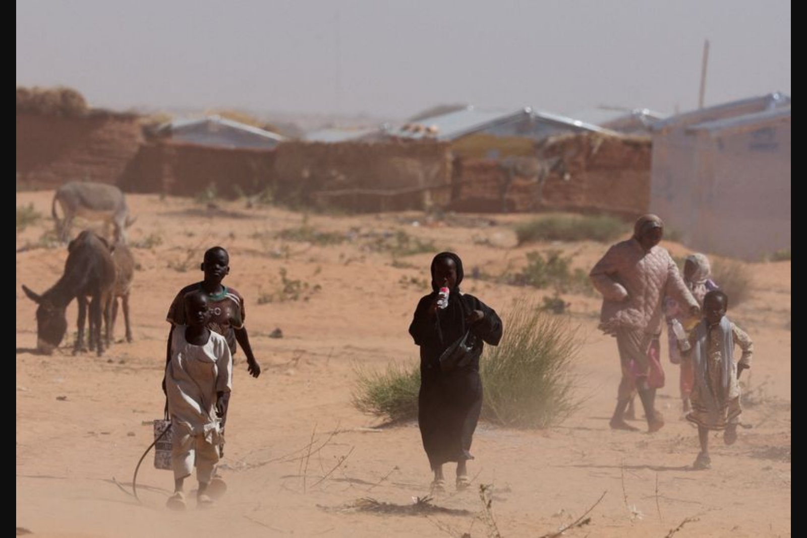 UNICEF issues emergency 'Child Alert' as five million children in Darfur face extreme deprivation