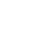 NESR