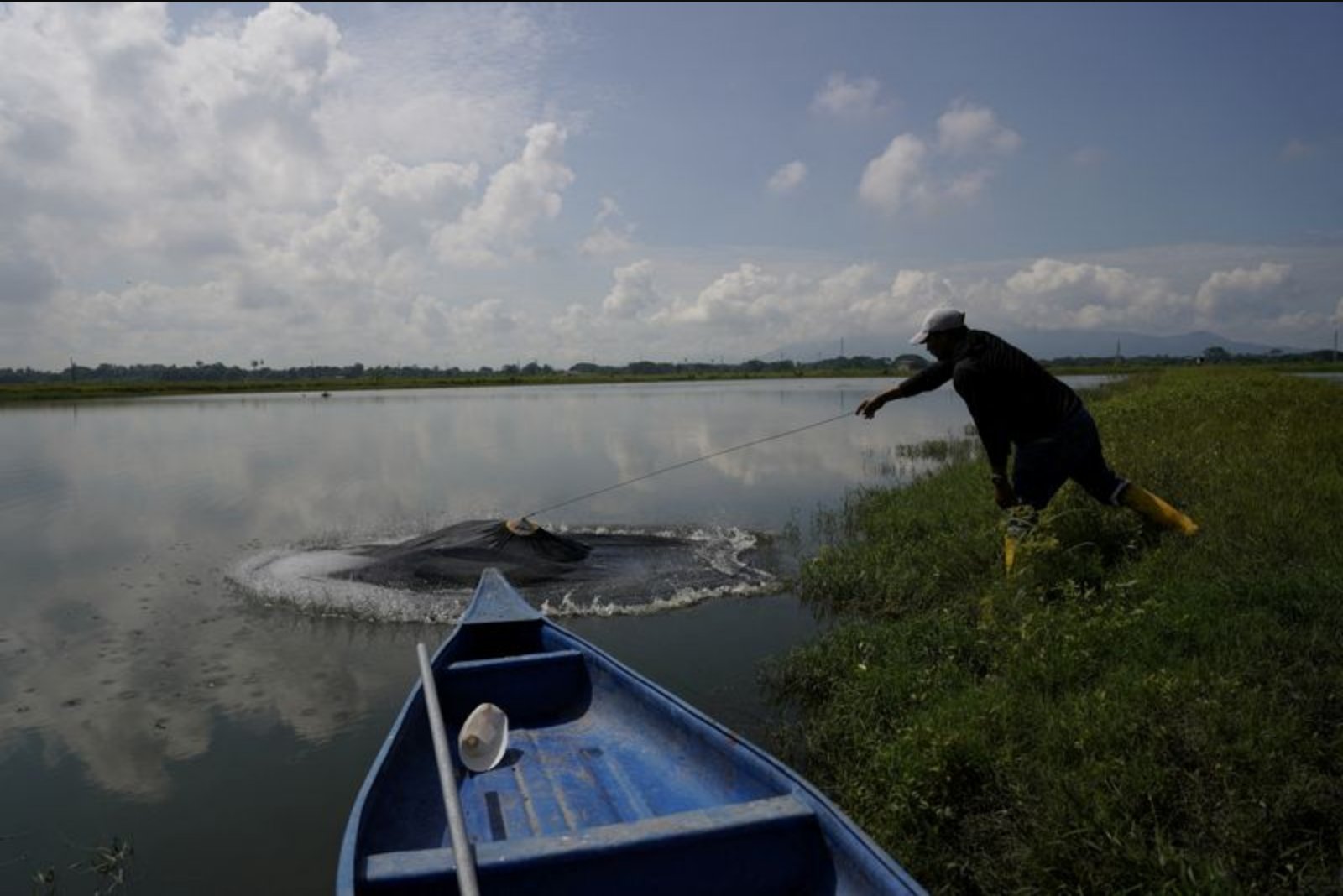 Ecuador’s Shrimp Exports Hit Record $8.4 Billion in 2025, Overtaking Oil
