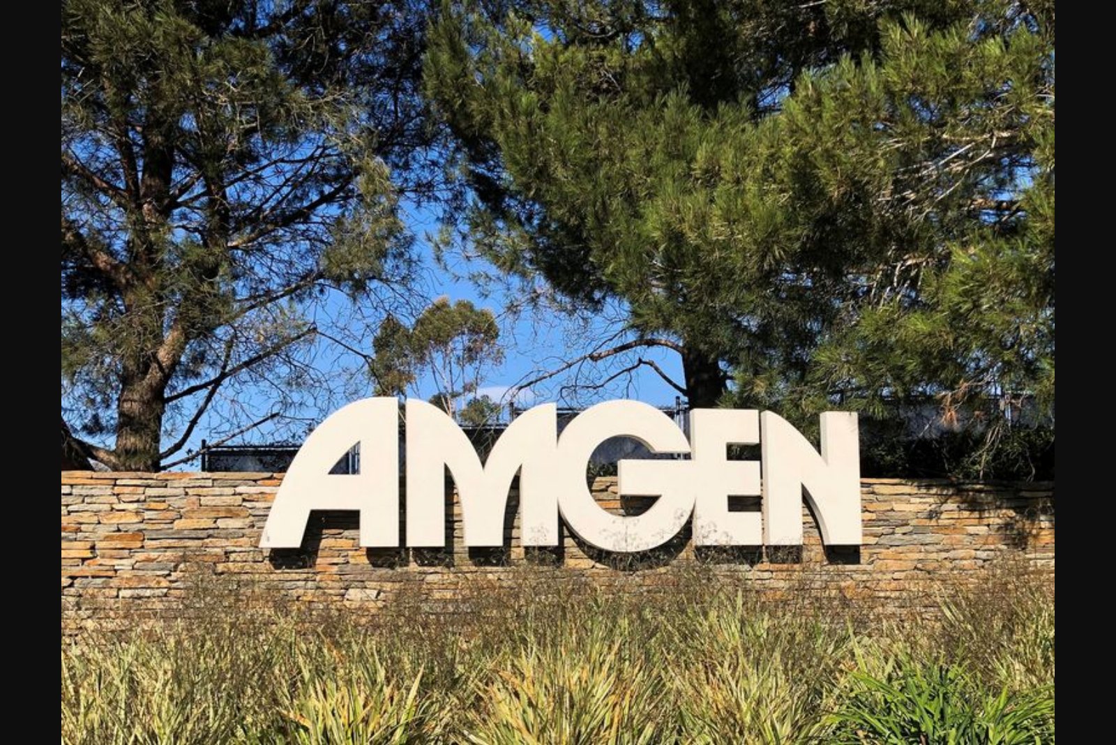 Amgen posts modest revenue and EPS gains in Q1 as FDA review and pipeline moves shape outlook