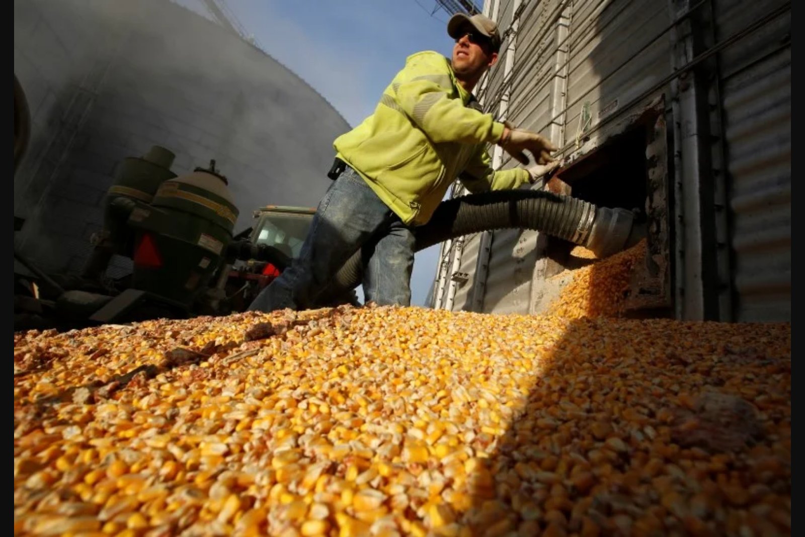 Grain Futures Slide After U.S.-Iran Accord; Oil Drop Weakens Biofuel Demand
