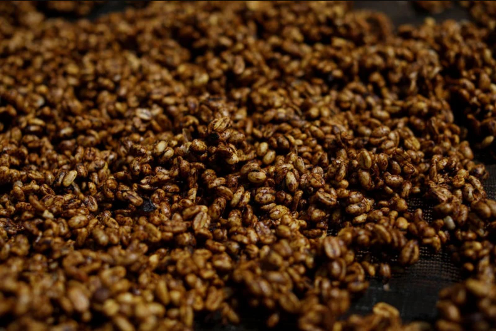 Arabica futures surge 5.2% as Brazil harvest disruptions and El Nino worries mount