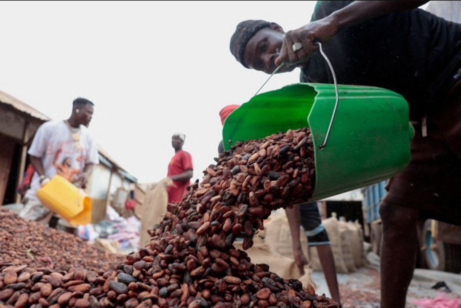 Ivory Coast Faces Surge in Unsold Cocoa Unless Farmer Prices Are Cut