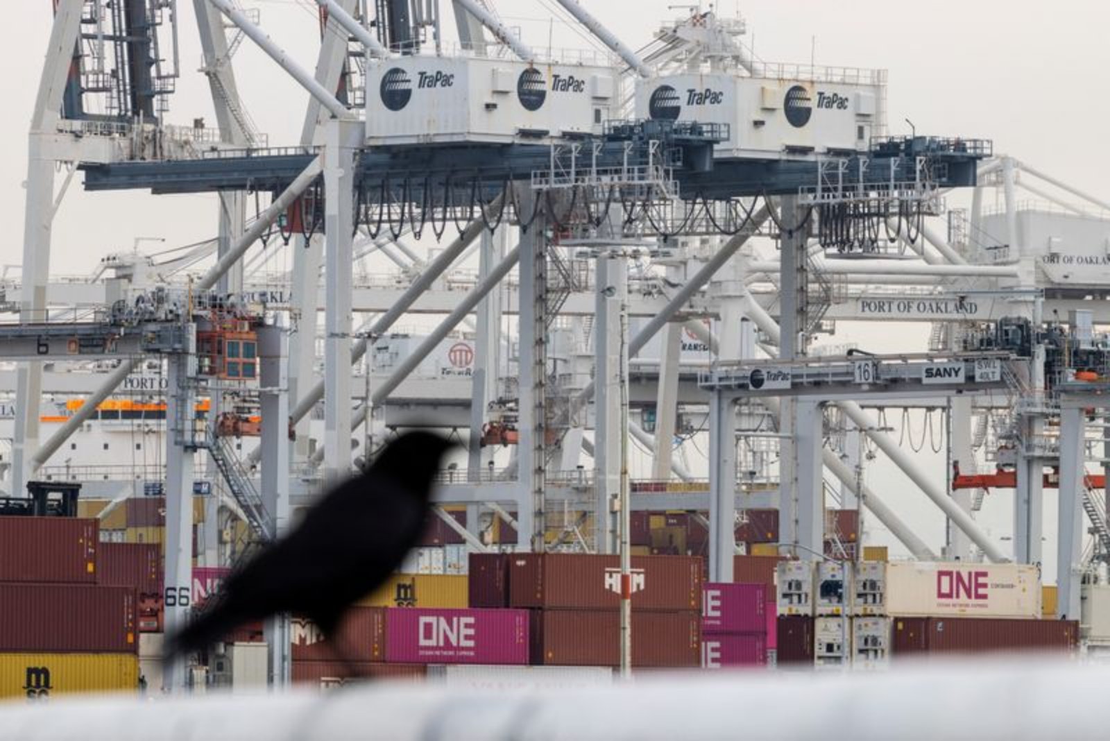 Senate Democrats Propose Law to Force Refunds of IEEPA Tariffs Ruled Illegal