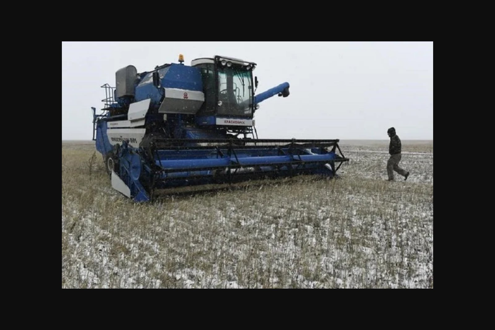Wheat Retreats as Russia Reviews Black Sea Grain Transit Proposals