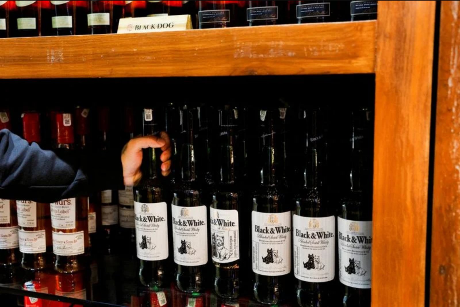 India Signals Possible Rollback of Scotch Whisky Tariff Cuts over UK Steel Safeguards