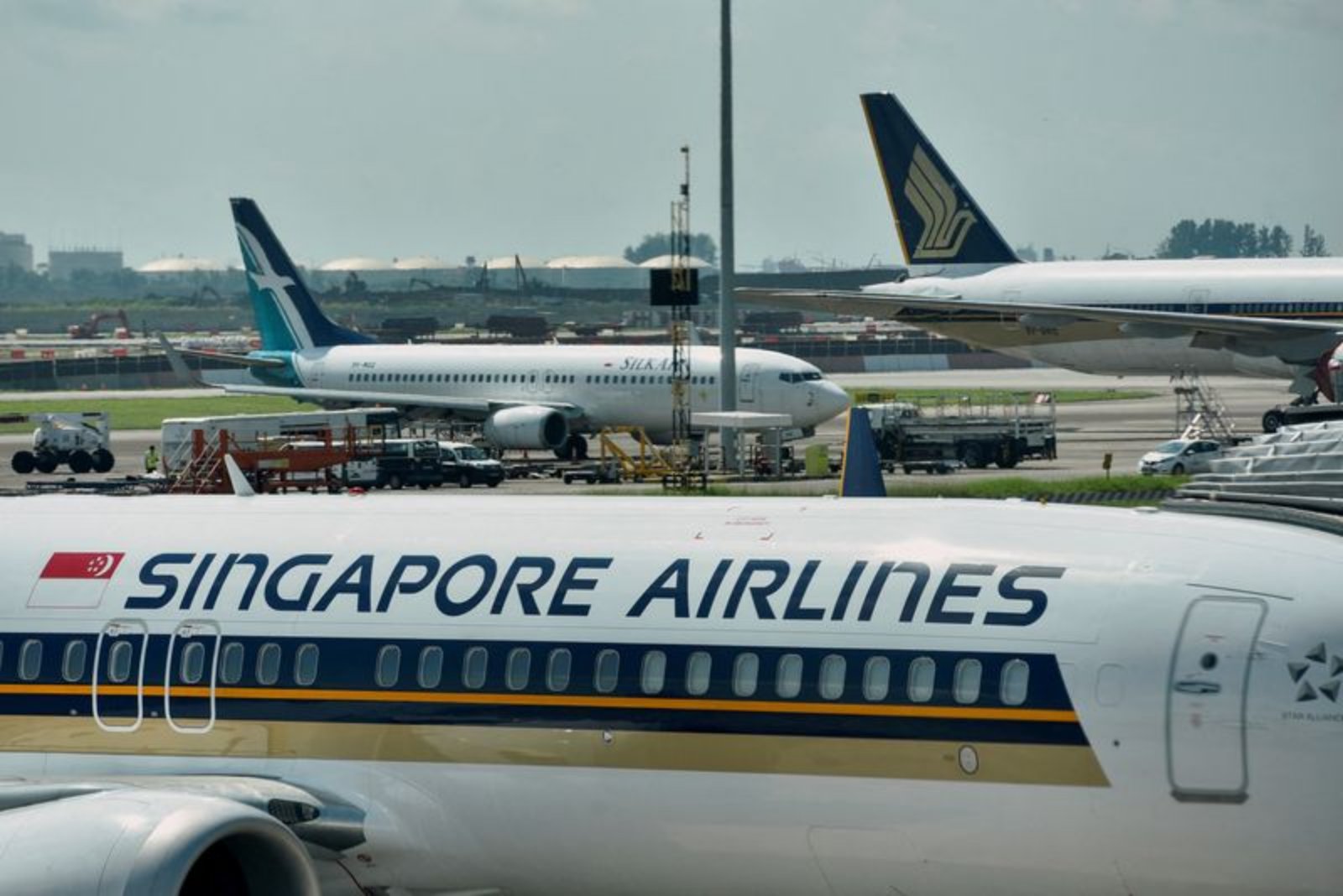 Singapore Airlines and Air New Zealand Expand Trans-Tasman Network as Travel Demand Rises