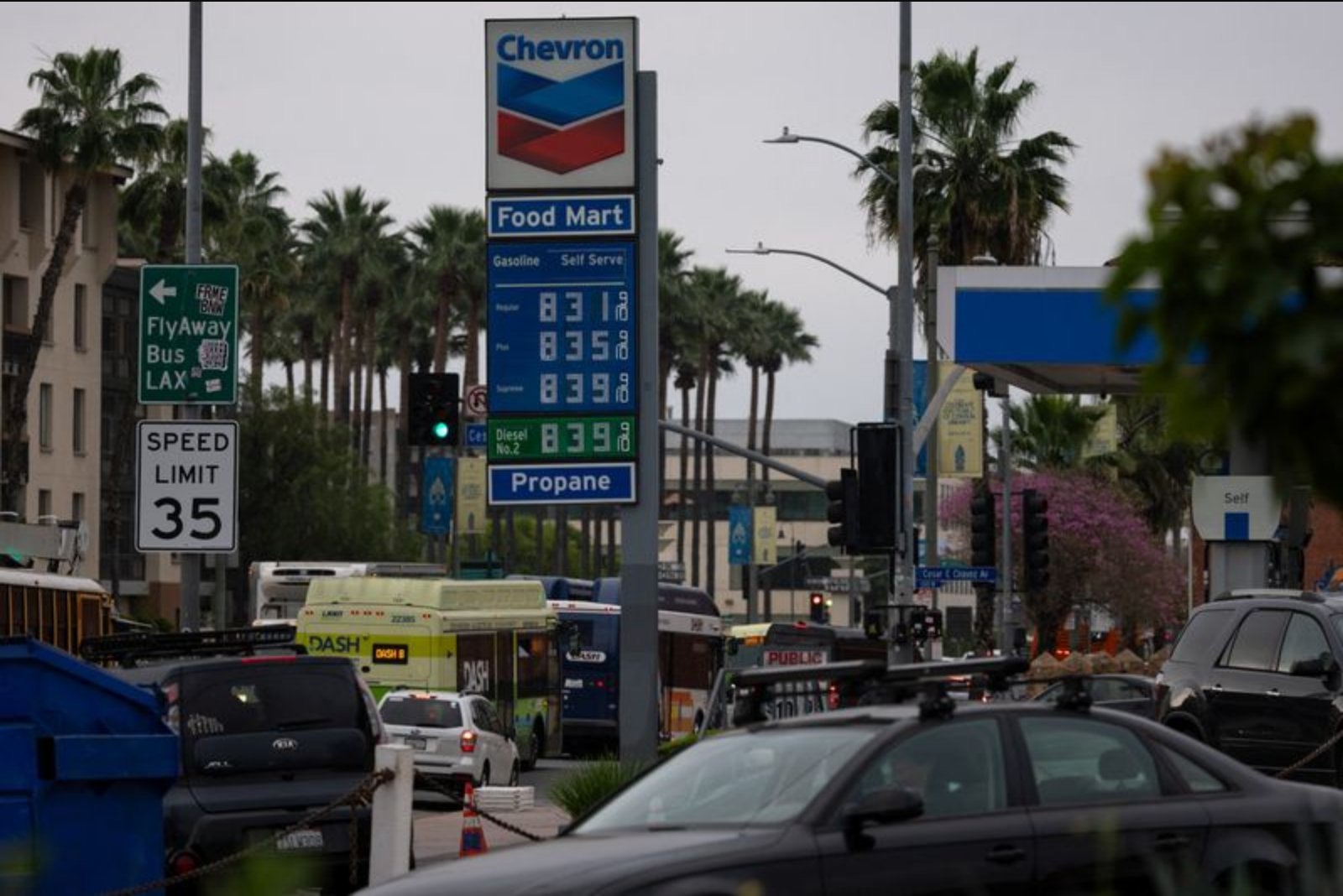 Rising Pump Prices from Iran Conflict Threaten Republican Hold on Congress