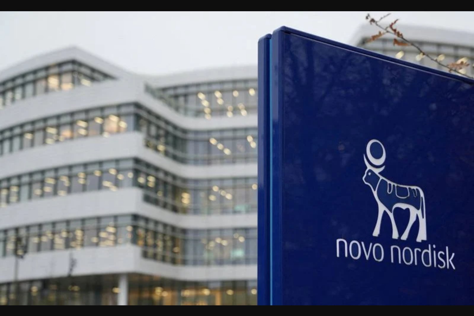 Oral Obesity Drug Race Accelerates as Novo Nordisk Picks Up UK Approval