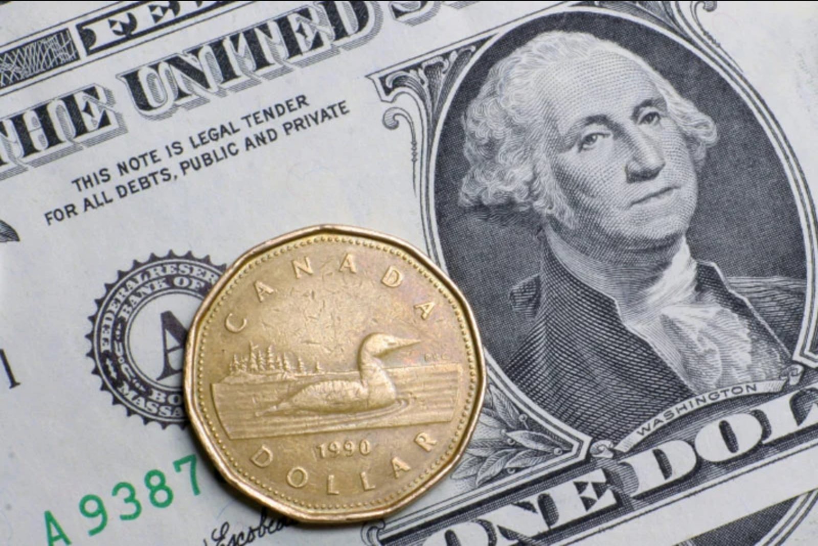 Canadian dollar set to end five-week slide as U.S. dollar softens and oil firms