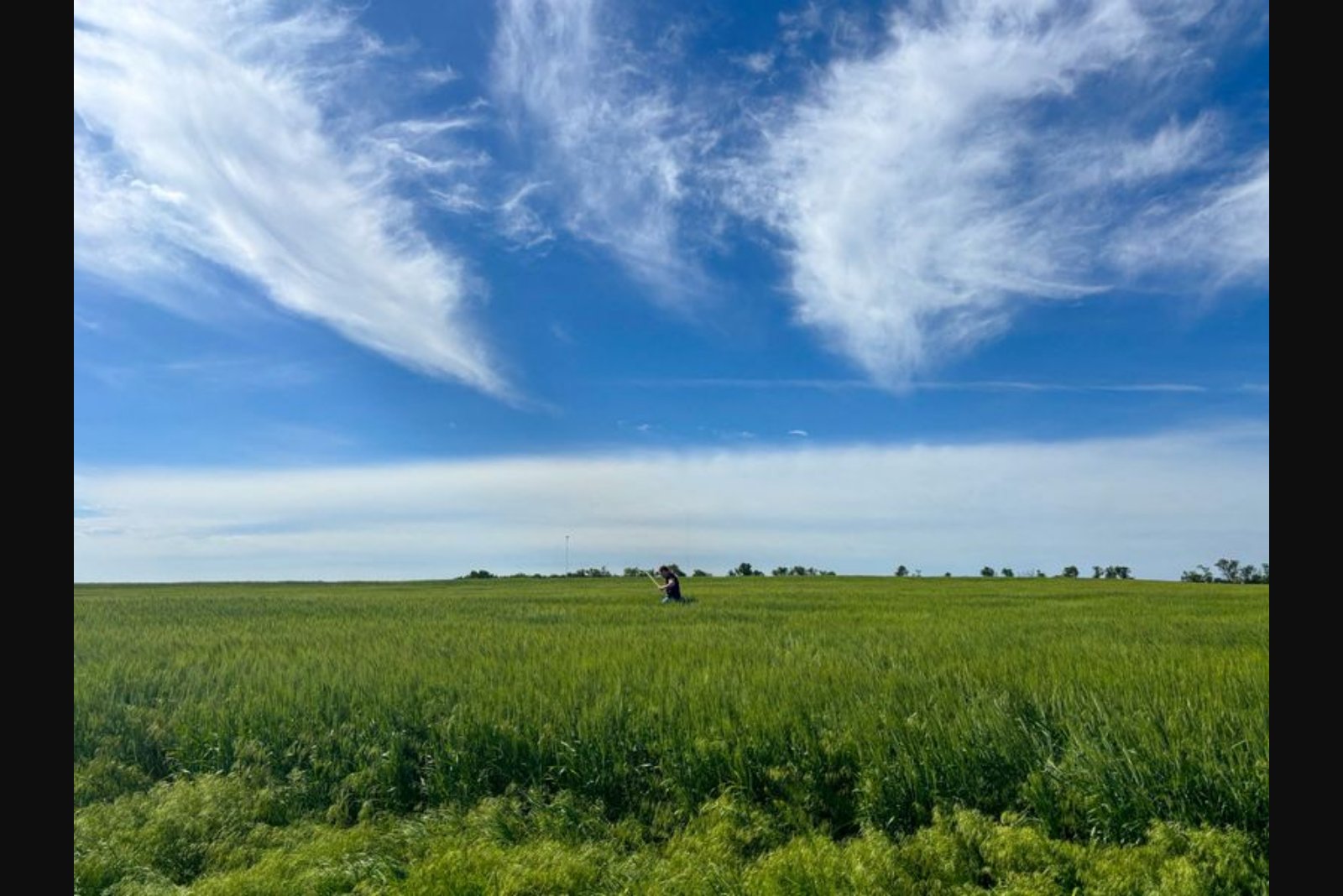 Bayer Pushes State-Level Legal Shield on Pesticide Liability as Roundup Settlement Looms