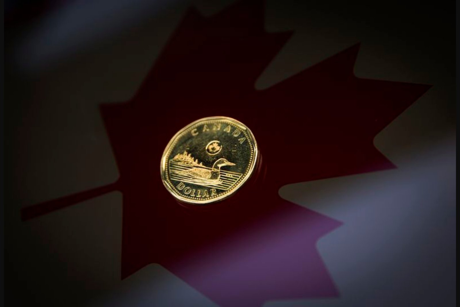 Loonie Logs Sixth Straight Daily Decline as BoC Minutes Signal Patience