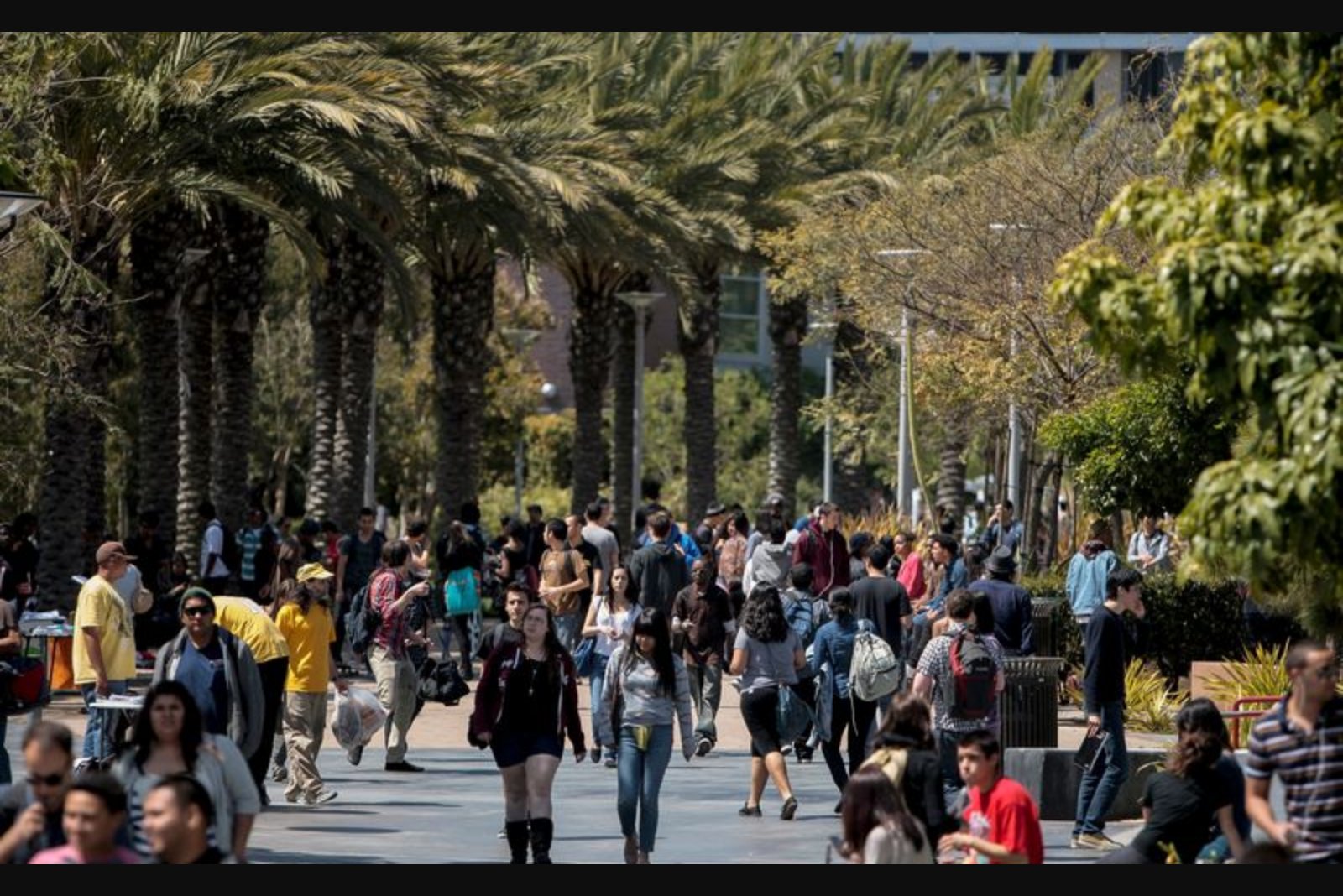 Schools Attempt Direct Negotiations After Massive Canvas Data Theft Disrupts Classes