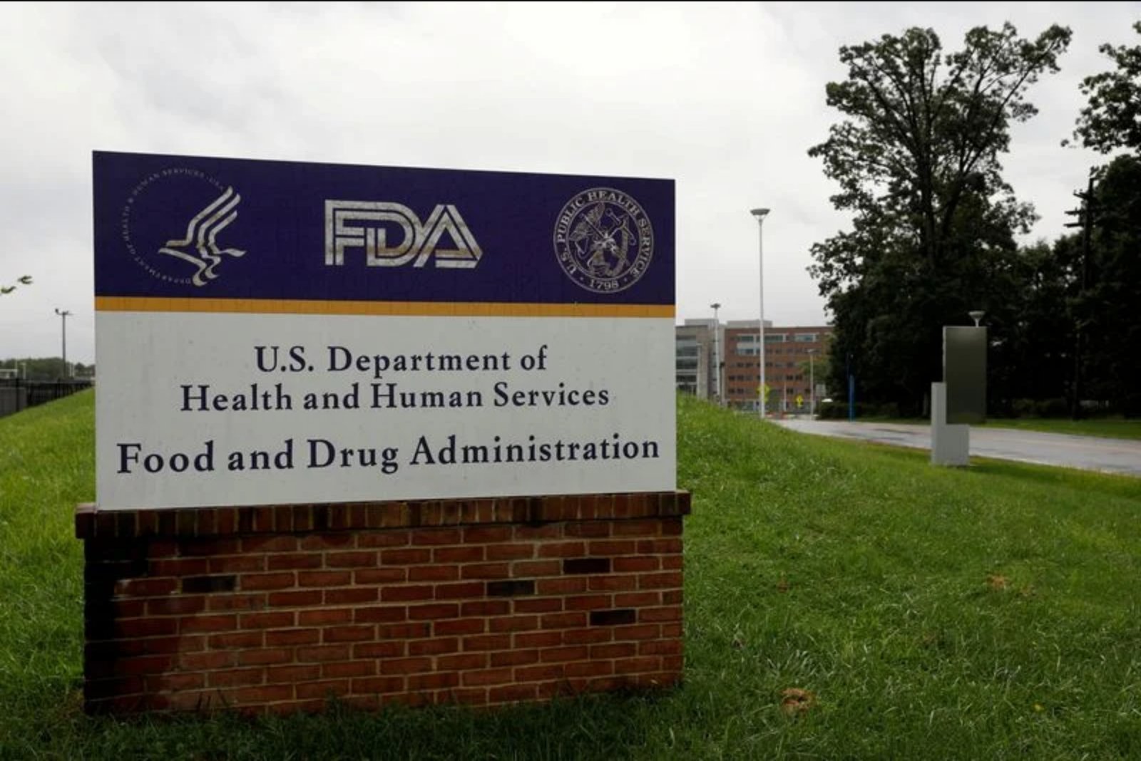 FDA Signals Reversal on Regenxbio’s Navsunli, Clearing Way for Accelerated Approval Effort