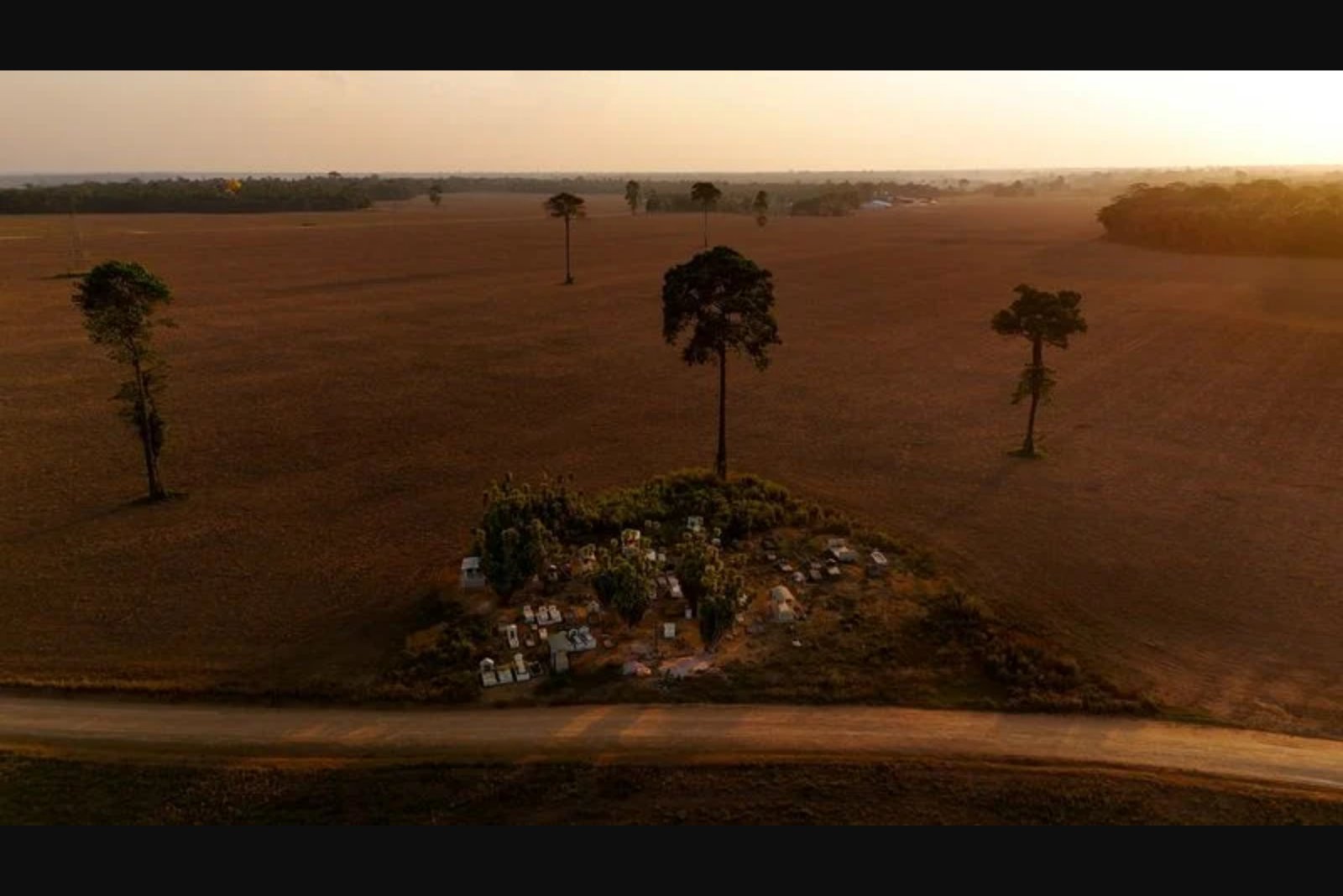 Fertilizer Shock Erodes Brazil’s Cost Advantage Over U.S. Farmers