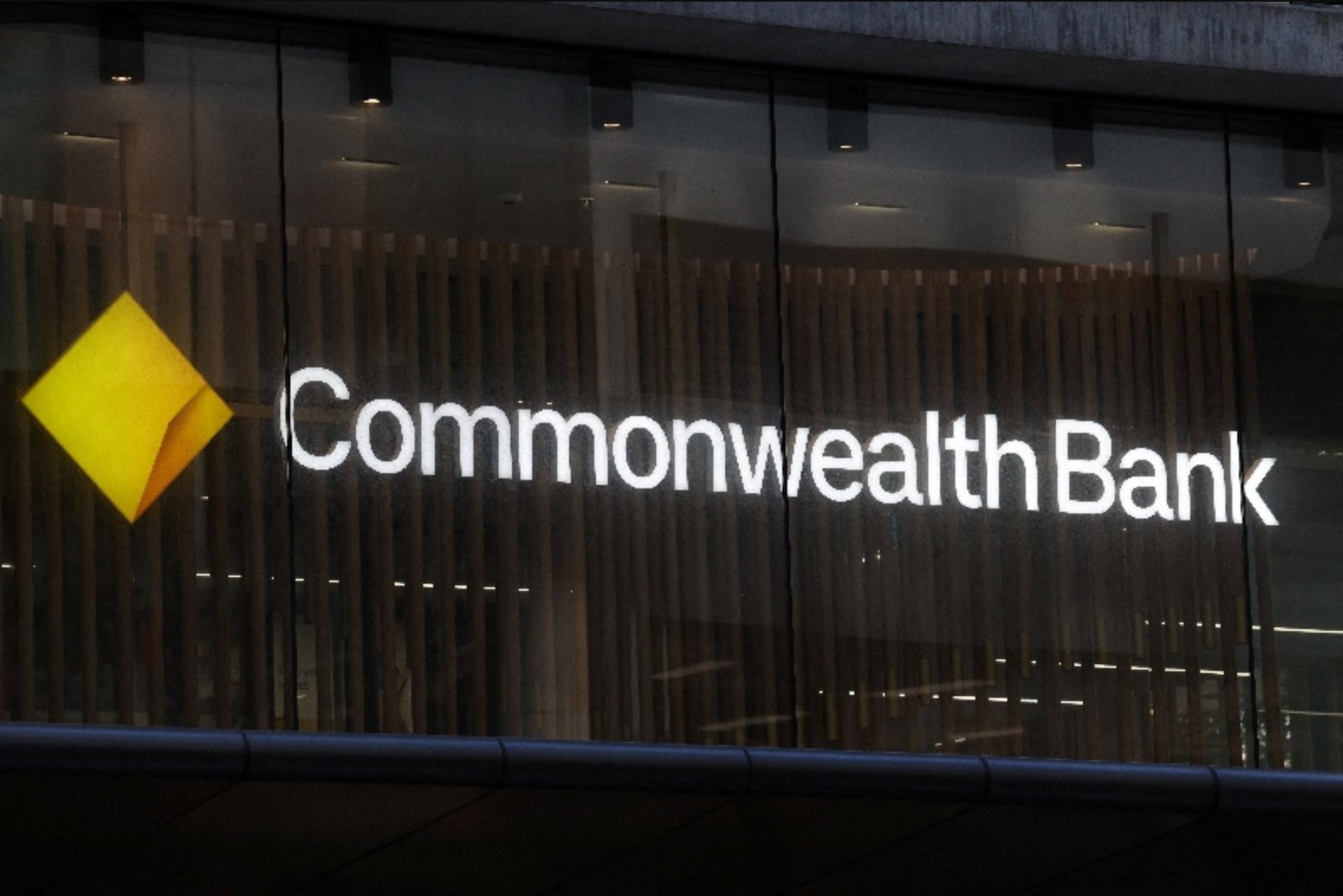 Commonwealth Bank appoints Mary-Anne Williams as its chief AI scientist