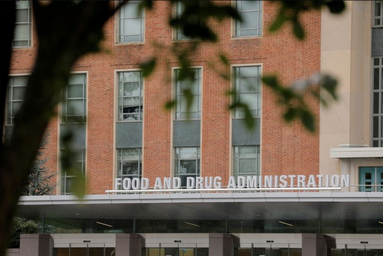 Katherine Szarama Named Acting Director of FDA Vaccines Unit as Prasad Exits Amid Controversy