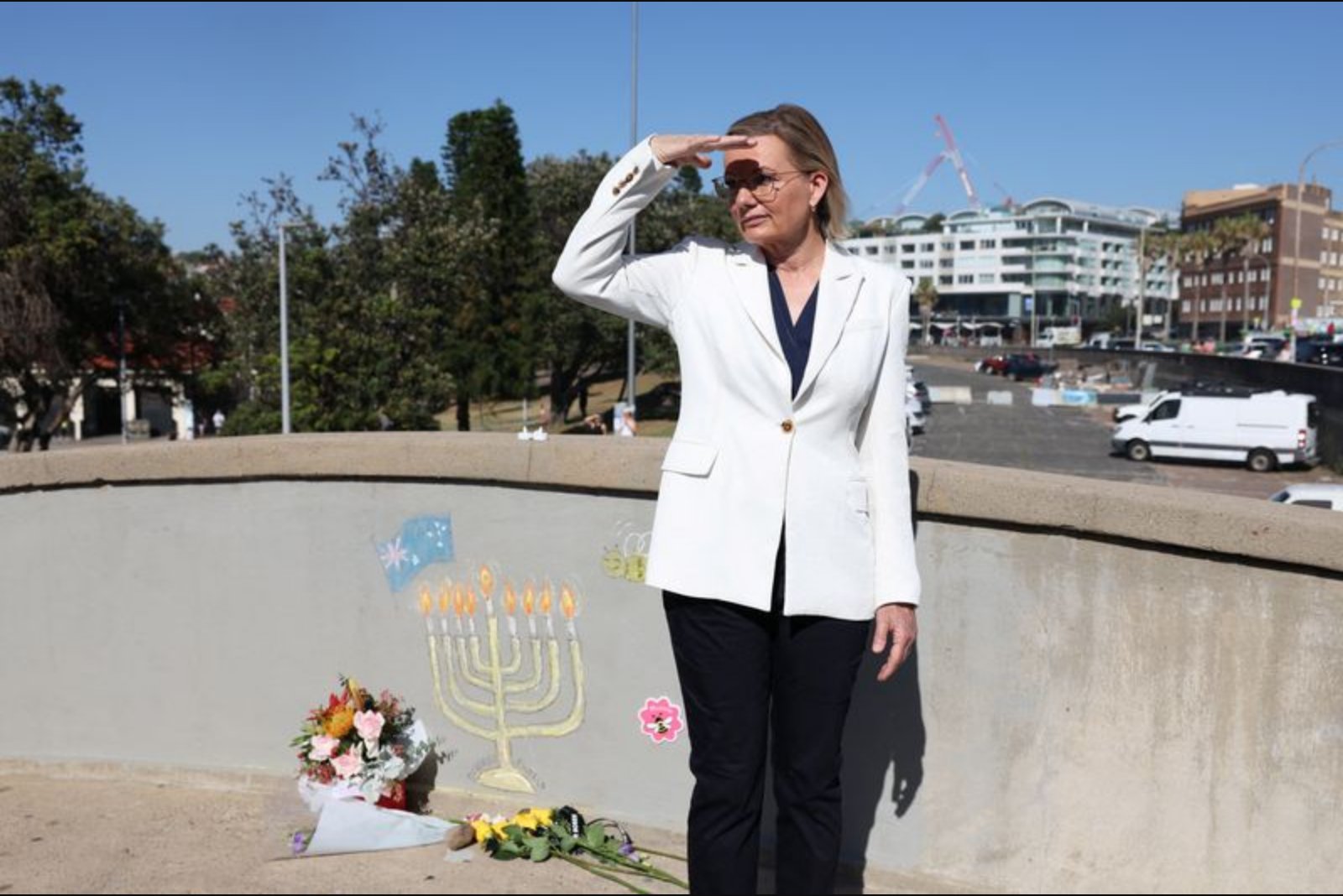 Senior Liberal MP Resigns Shadow Defence Role, Puts Party Leader Under Pressure