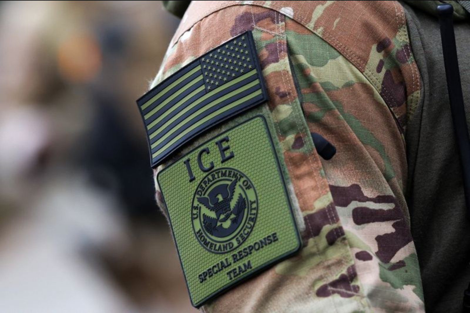 ICE Veteran with Private Prison Background Named Acting Agency Director
