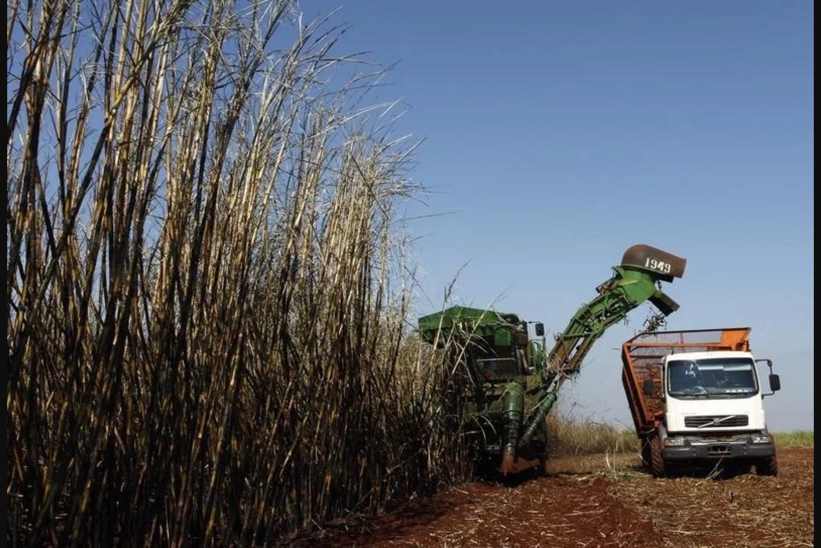 India opens applications for remaining 202,550 tonnes of duty-free raw sugar quota