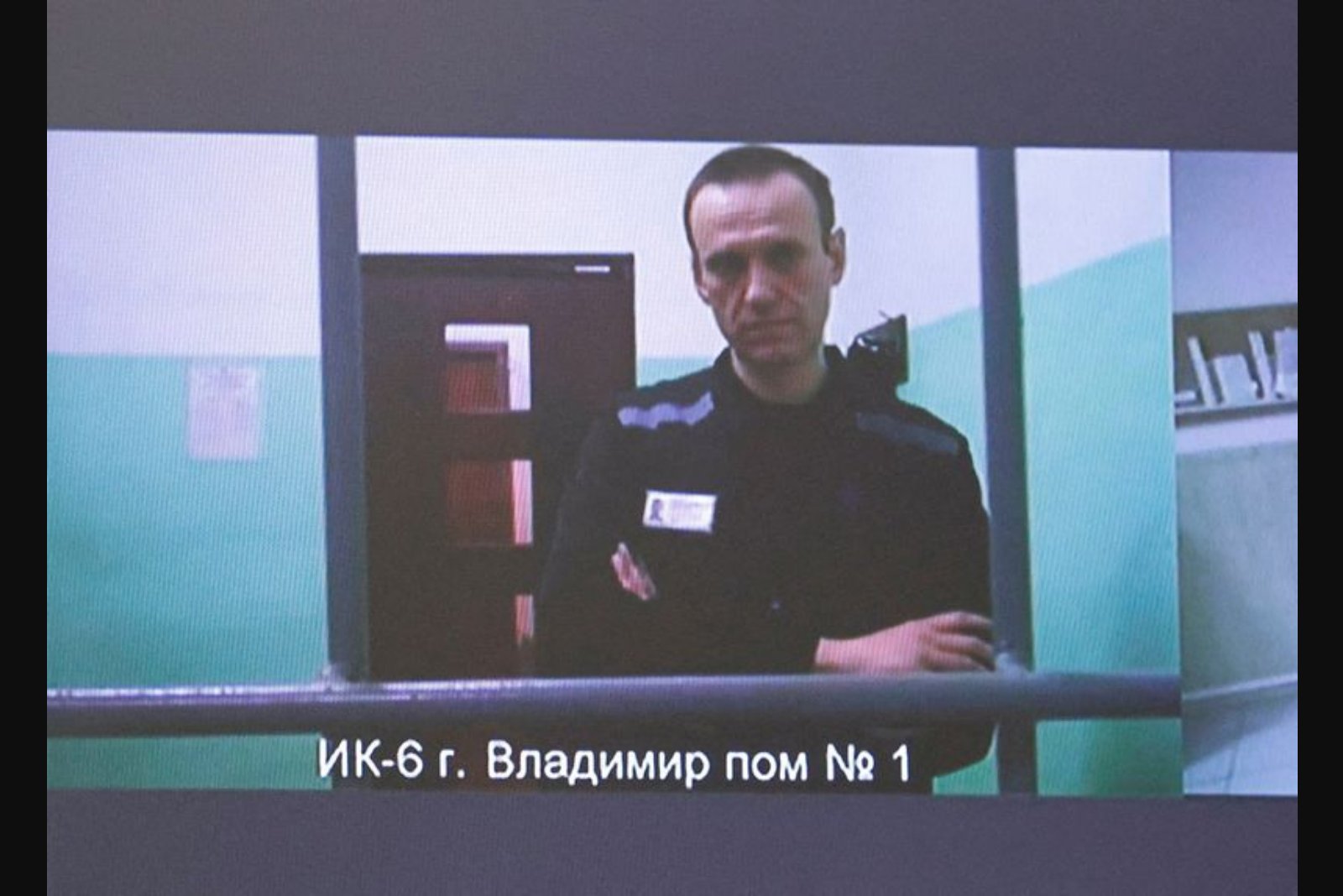 European Allies Say Tests Found Dart Frog Toxin in Navalny's Body; Russia Denies Allegations