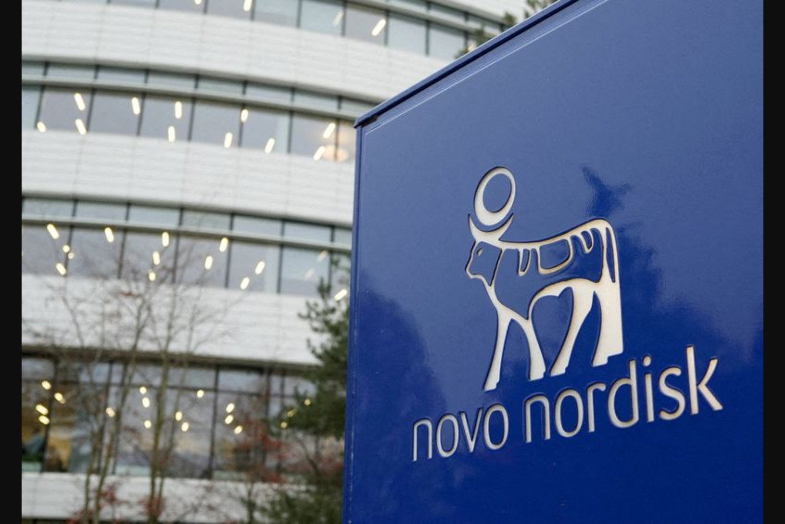 Novo Nordisk Shares Plunge After Company Predicts 2026 Sales and Profit Declines