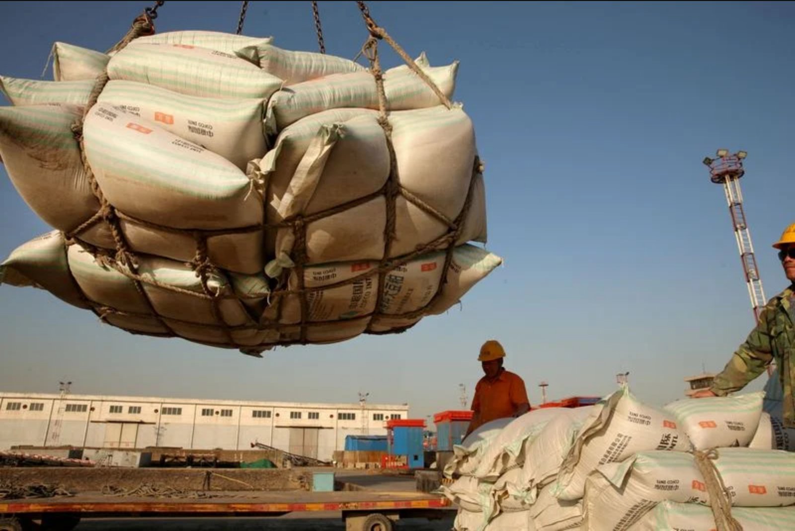 China’s Soybean Crushers Face Costly Supply Gap Ahead of Xi’s Washington Visit