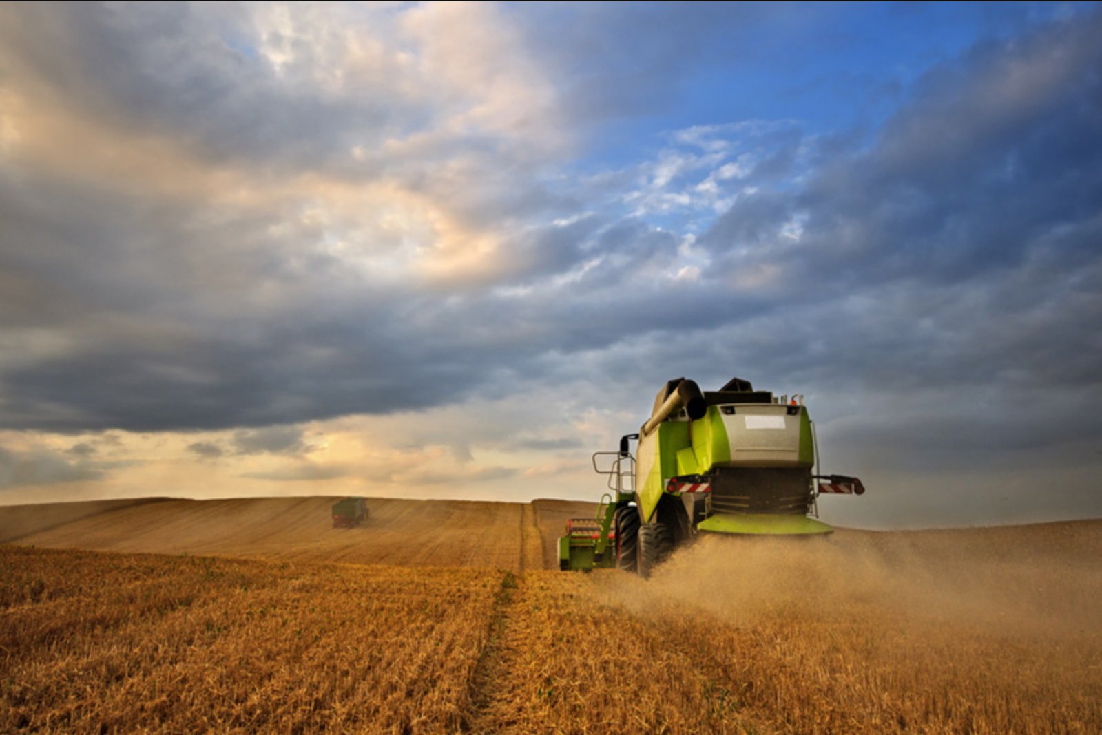 European Wheat Rises as Softer Euro Bolsters Export Appeal