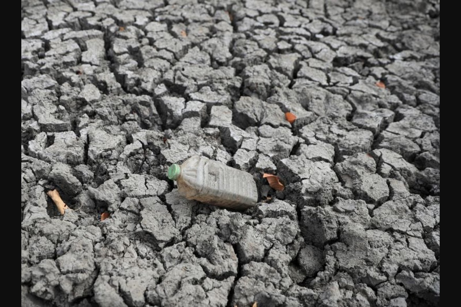U.N. Warns of Elevated Heat and Extreme Weather Risk as El Nino Develops