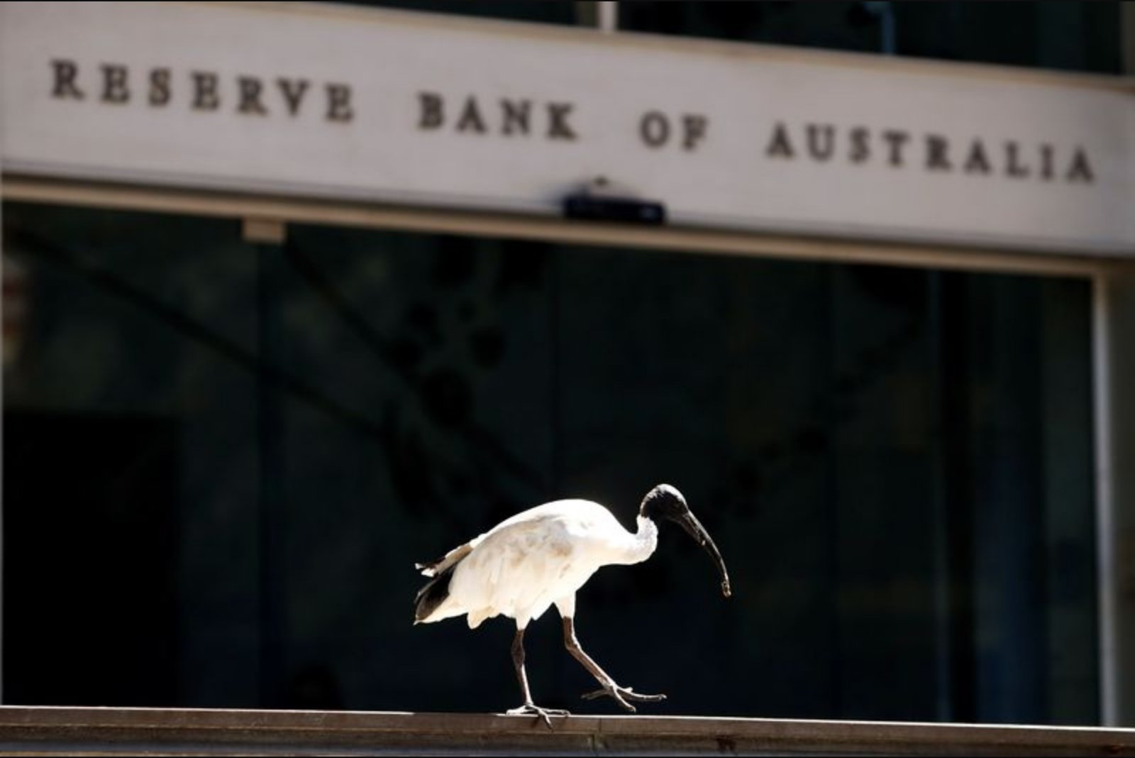RBA Deputy Governor Signals 'Genuine' Rate Debate as Middle East War Raises Uncertainty