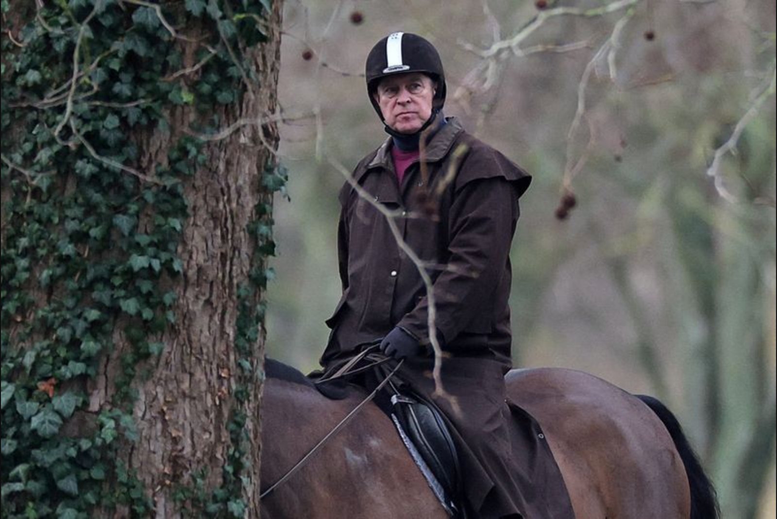 Police Detain Prince Andrew on Suspicion of Misconduct in Public Office, BBC Reports