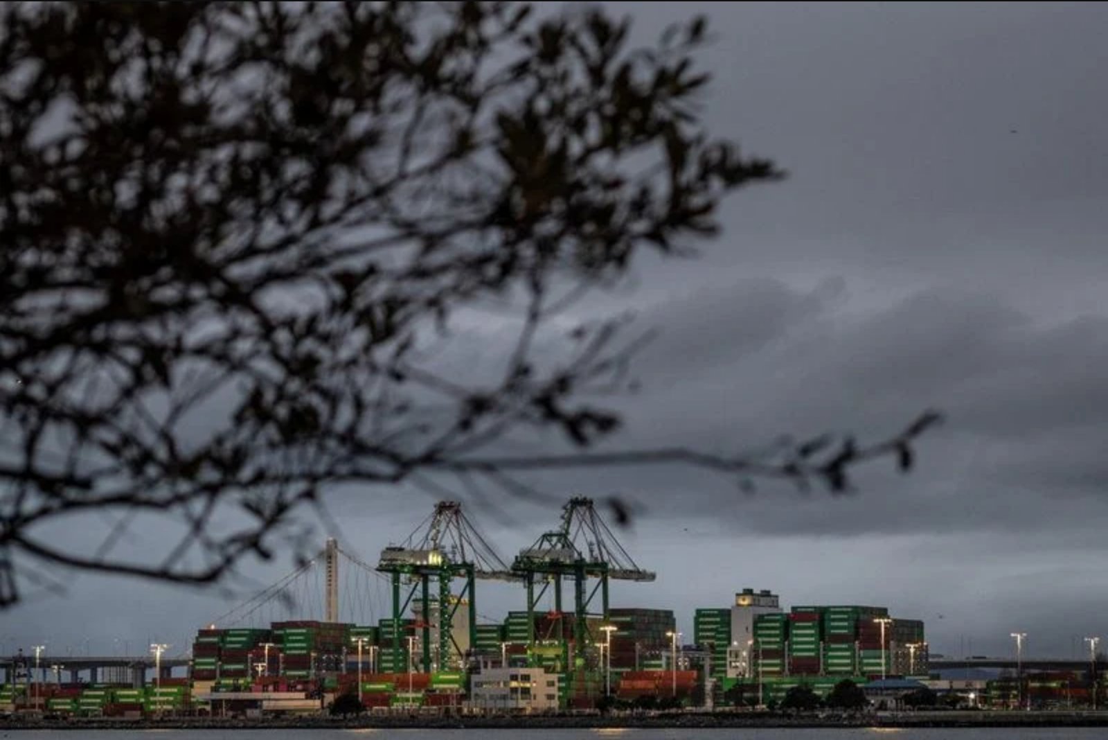 Federal Circuit Keeps 10% Global Tariff in Place for Three Importers as Appeal Continues