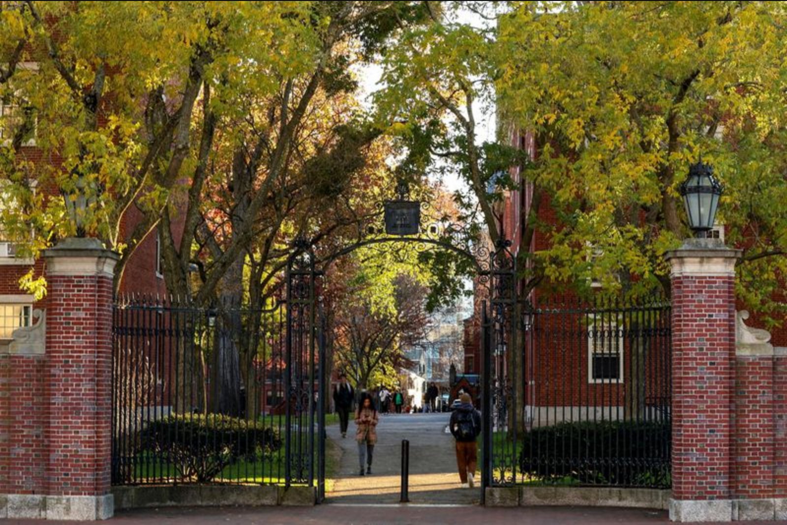 Harvard Faculty Limit 'A' Grades to Curb Rising Grade Inflation