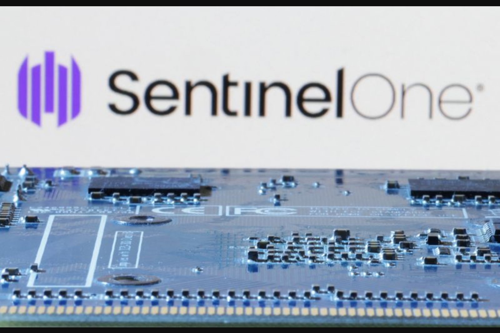 SentinelOne Issues Conservative Quarterly Profit Forecast as Competition and Leadership Change Loom