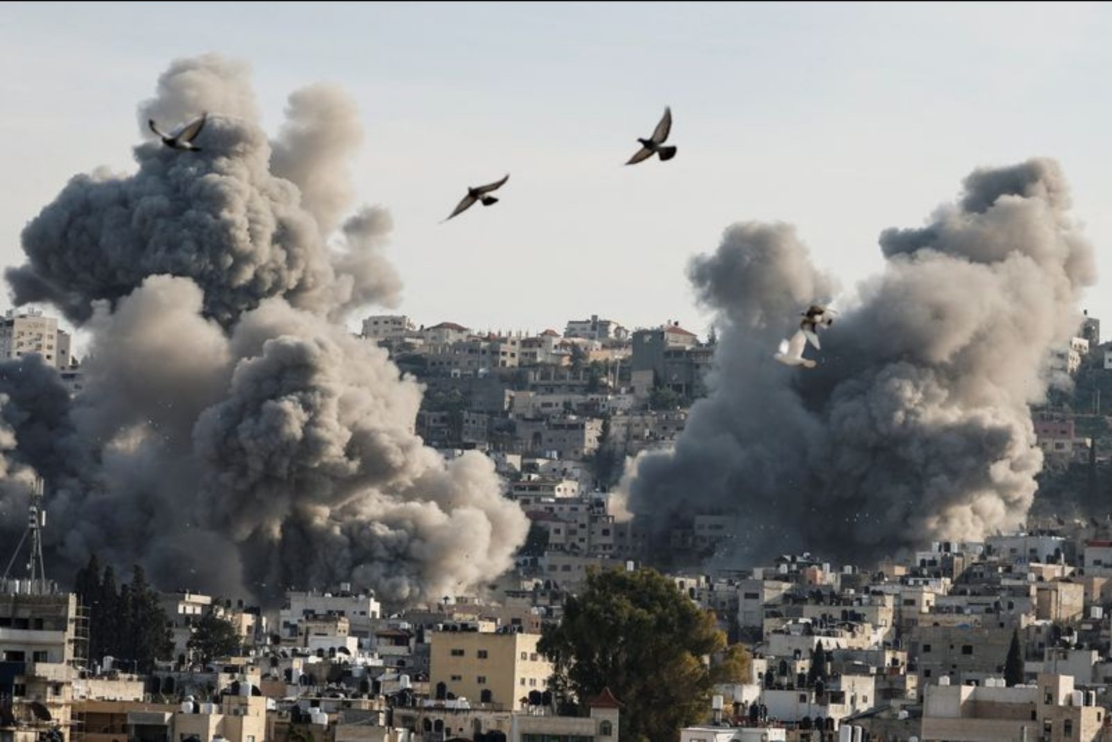 UNICEF: 70 Children Killed in West Bank and East Jerusalem Since Early 2025