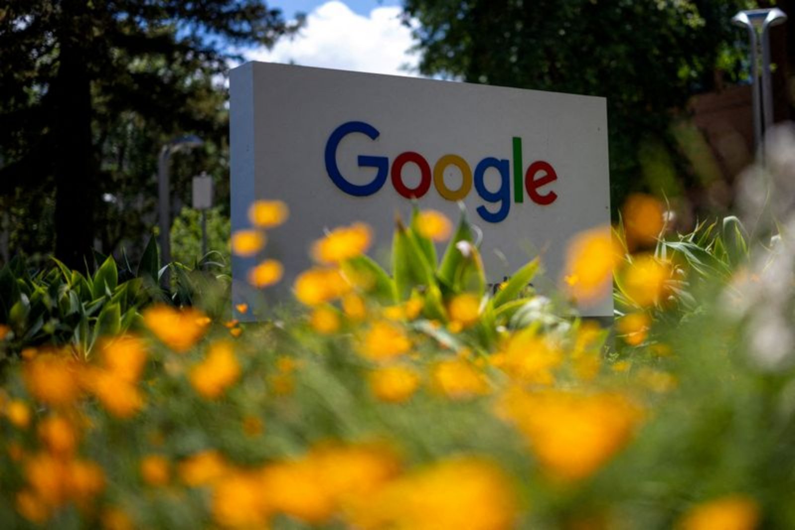 Alphabet Poised to Leapfrog Nvidia as the World’s Most Valuable Company